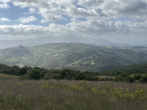 Photo from customer review