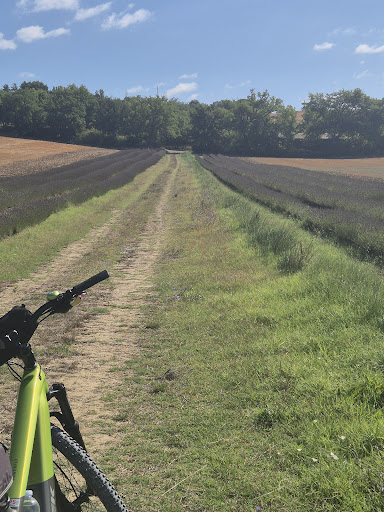 Photo from customer review